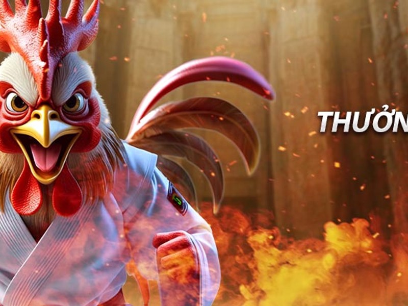 Ưu đãi độc quyền cho người chơi okvip trên di động