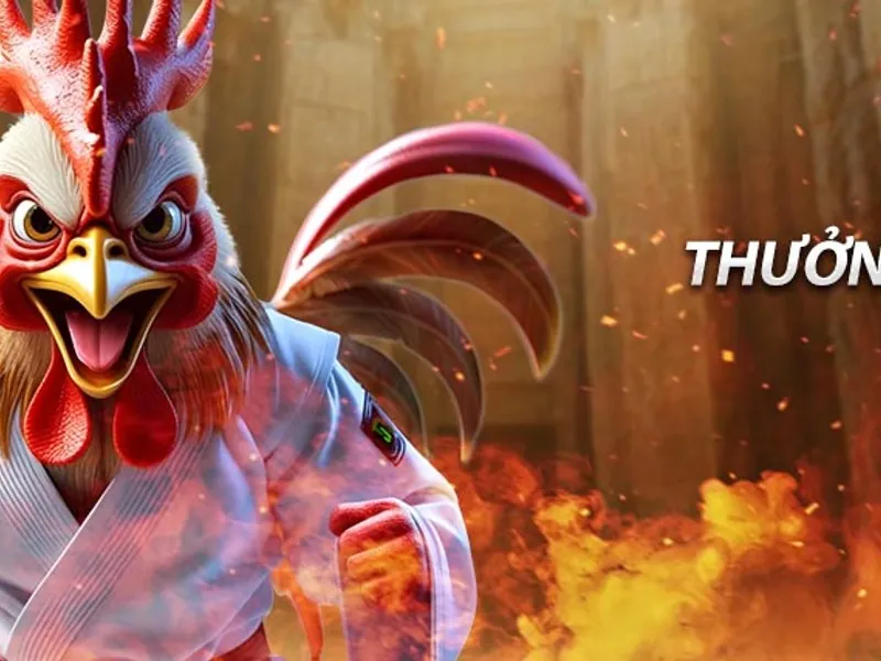 Ưu đãi độc quyền cho người chơi okvip trên di động