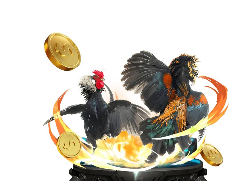Chính sách chơi công bằng và minh bạch của OKVIP